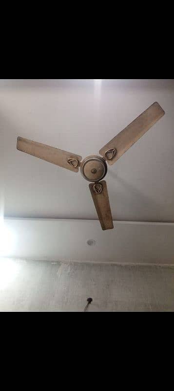 Ceiling fan & Padestal fan 2