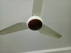 royal fan ac dc inverter fan