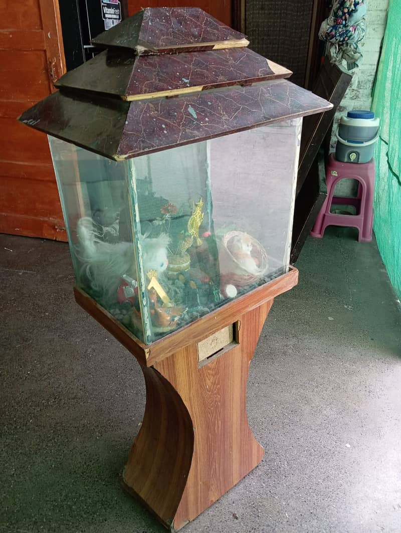 fish equirium tank 3