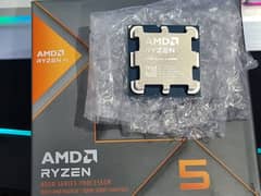 AMD