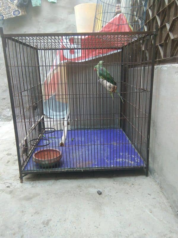 6 portion or 2 portion cage for sale Watsaap num O3086966064 3