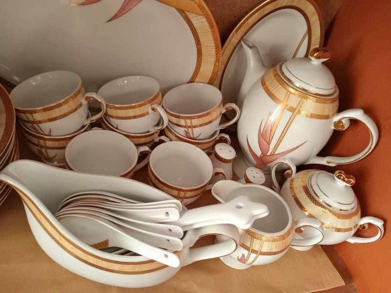 STOKE ON KENT (UK) 70 PIECE DINNER SET 0