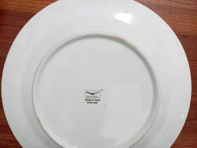 STOKE ON KENT (UK) 70 PIECE DINNER SET 12