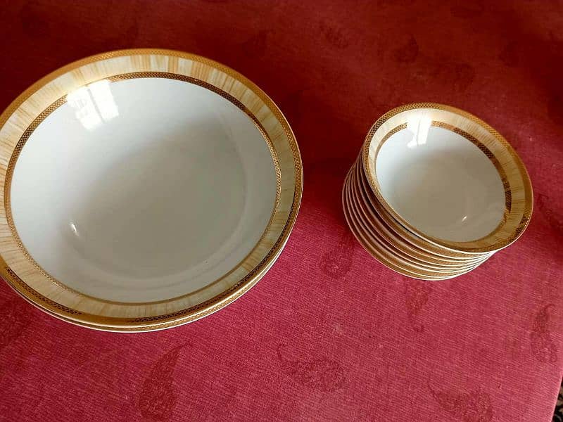 STOKE ON KENT (UK) 70 PIECE DINNER SET 18