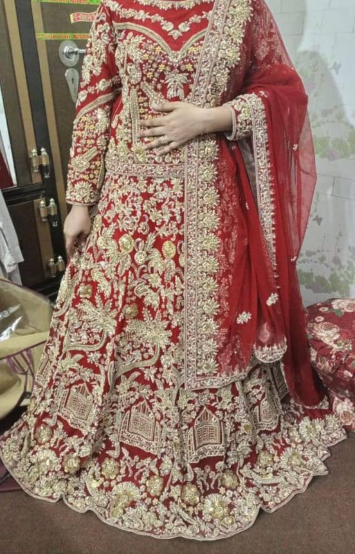 bridle lehnga 0