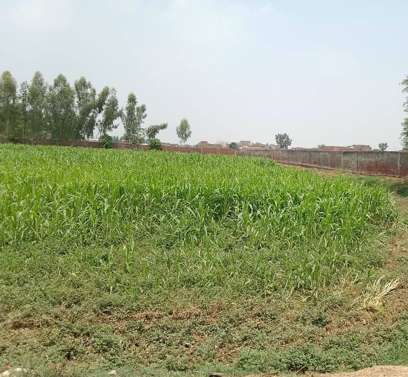 16 Kanal Industrial Plot Available For Sale On Multan Road 3