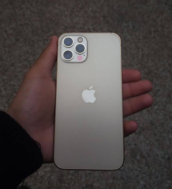 iphone 12 pro golden 0