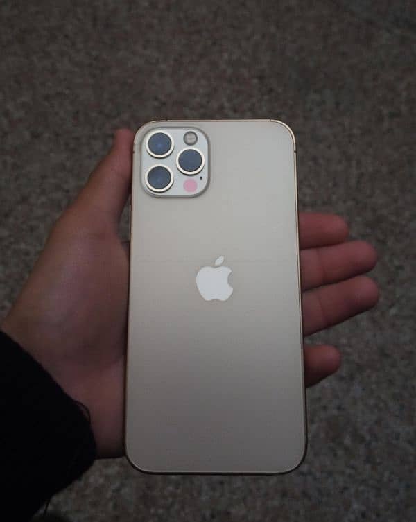 iphone 12 pro golden 2