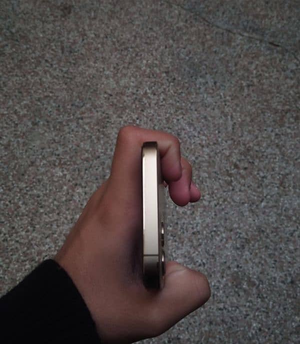 iphone 12 pro golden 9