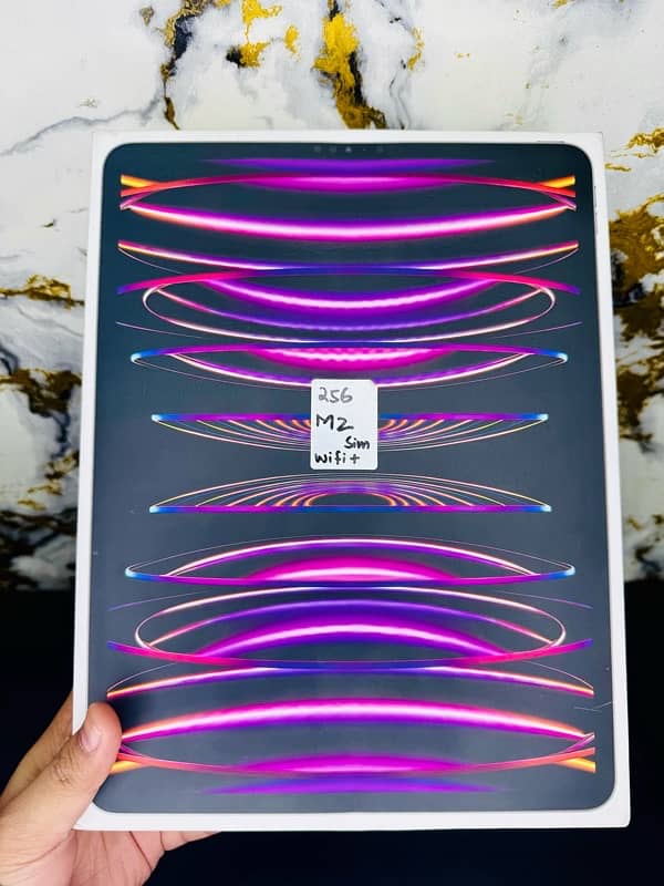 ipad pro m2 256gb 5g cellular 12.9 inch 5