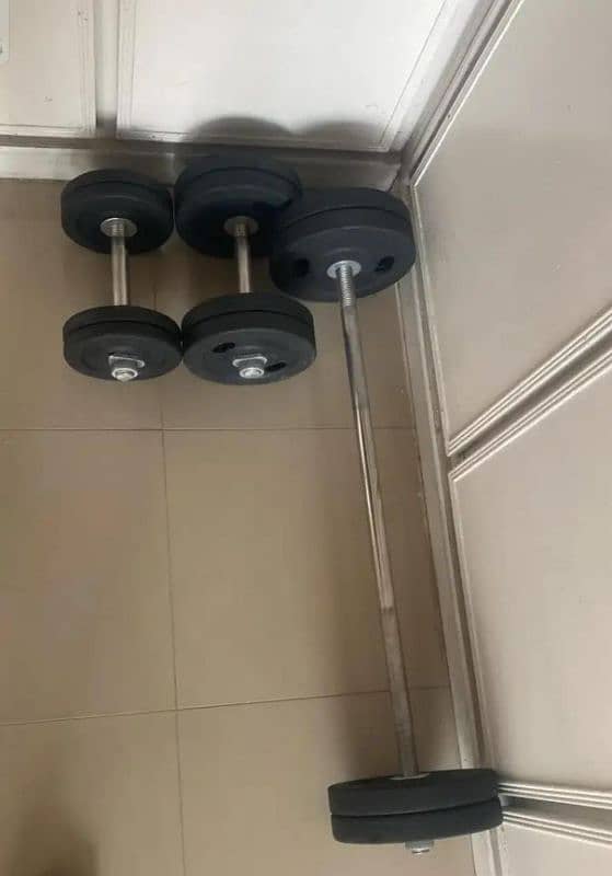 dumbbells and rubber plates with dumbbell rods and bicep rod 1