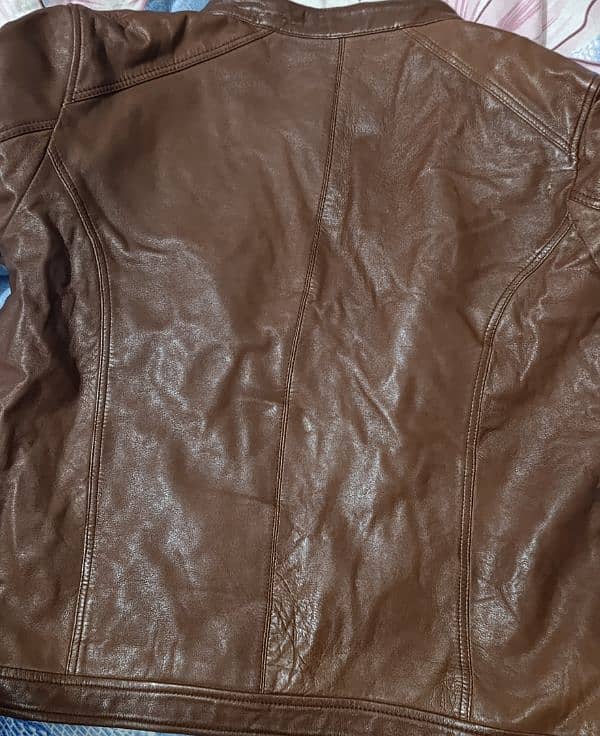 Men Original Leather Jacket 5