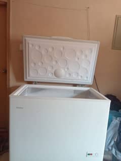 Freezer just 6 months used only