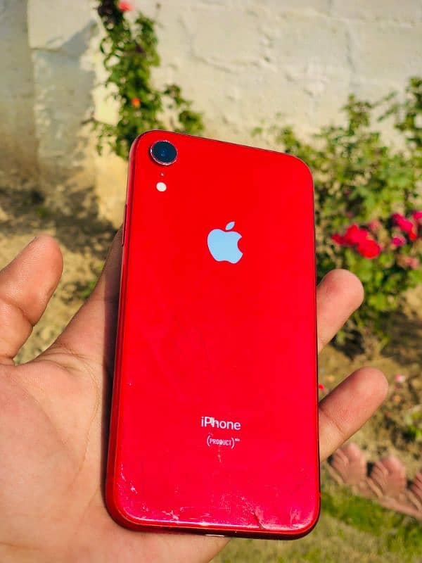 Iphone Xr 1