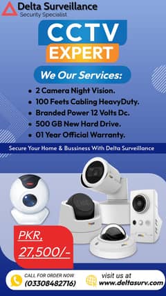 CCTV Camera | Camera Install | IP Cameras Install | Delta Surveillanc