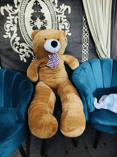 5.5 feet large teddybear available