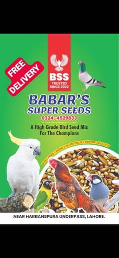 Birds Seed mix, Grains for Parrots, Pigeons, Hens, Shamoo Aseel, Dove