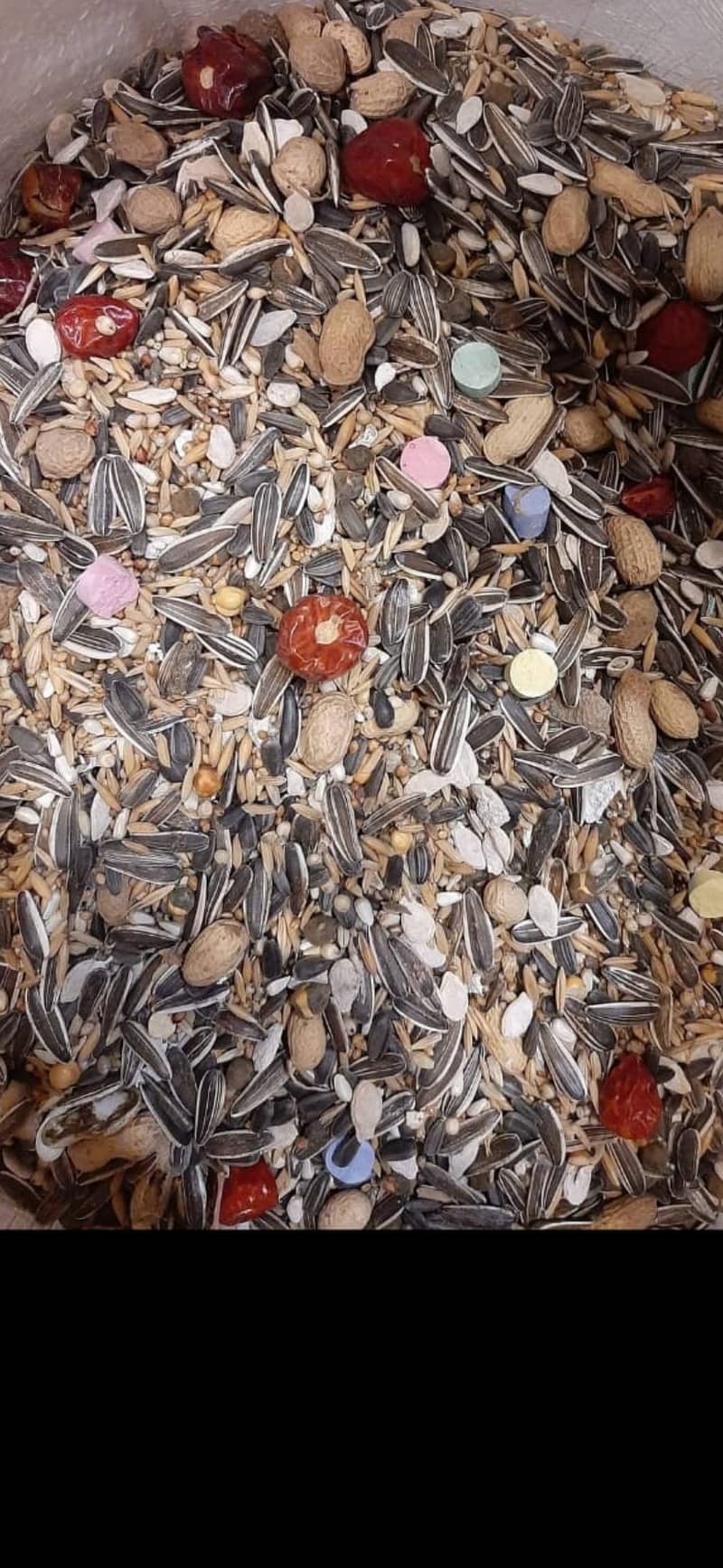 Birds Seed mix 4