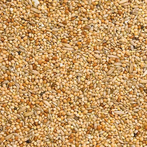 Birds Seed mix 9