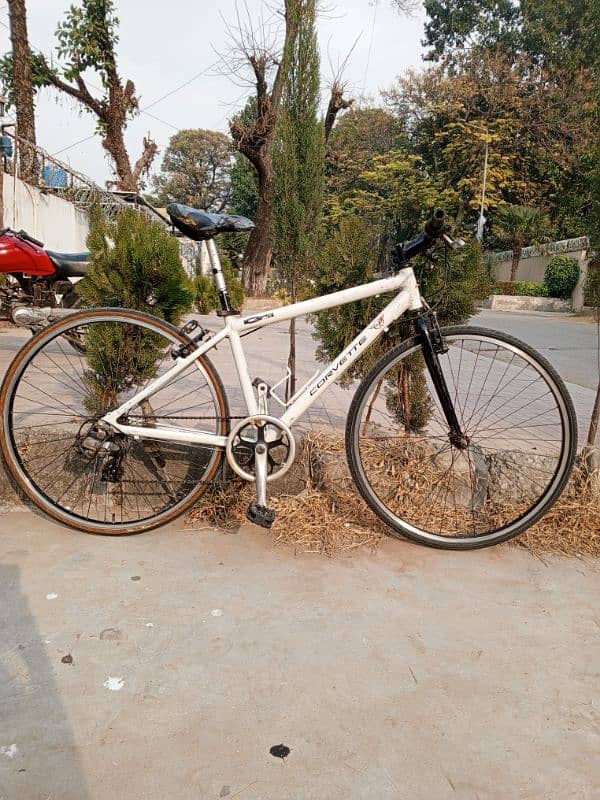 Corvette imported hybrid bicycle for sale 1