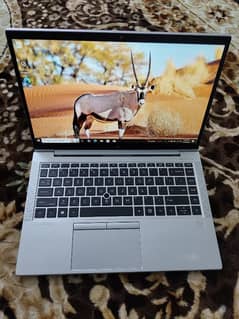 Hp Elitebook 845 G8 Ryzen 5 4650U