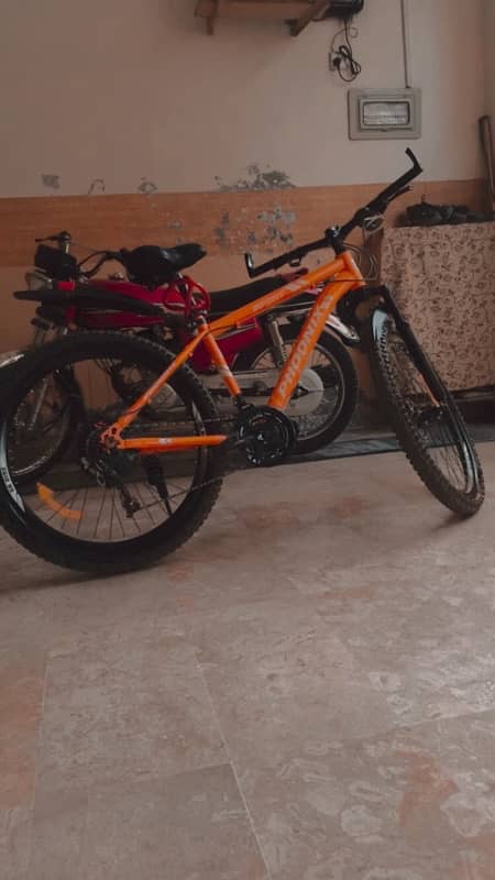 phoonix cycle with 10 gear urgent sale 2