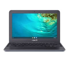 Asus Chromebook C202S 4/16