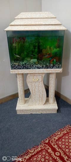 Fish aquarium