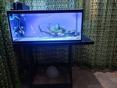 aquarium for sale