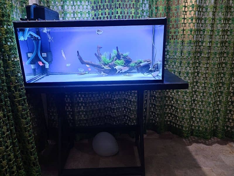 aquarium for sale 0