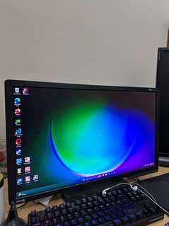 Benq XL2411P Gaming Monitor