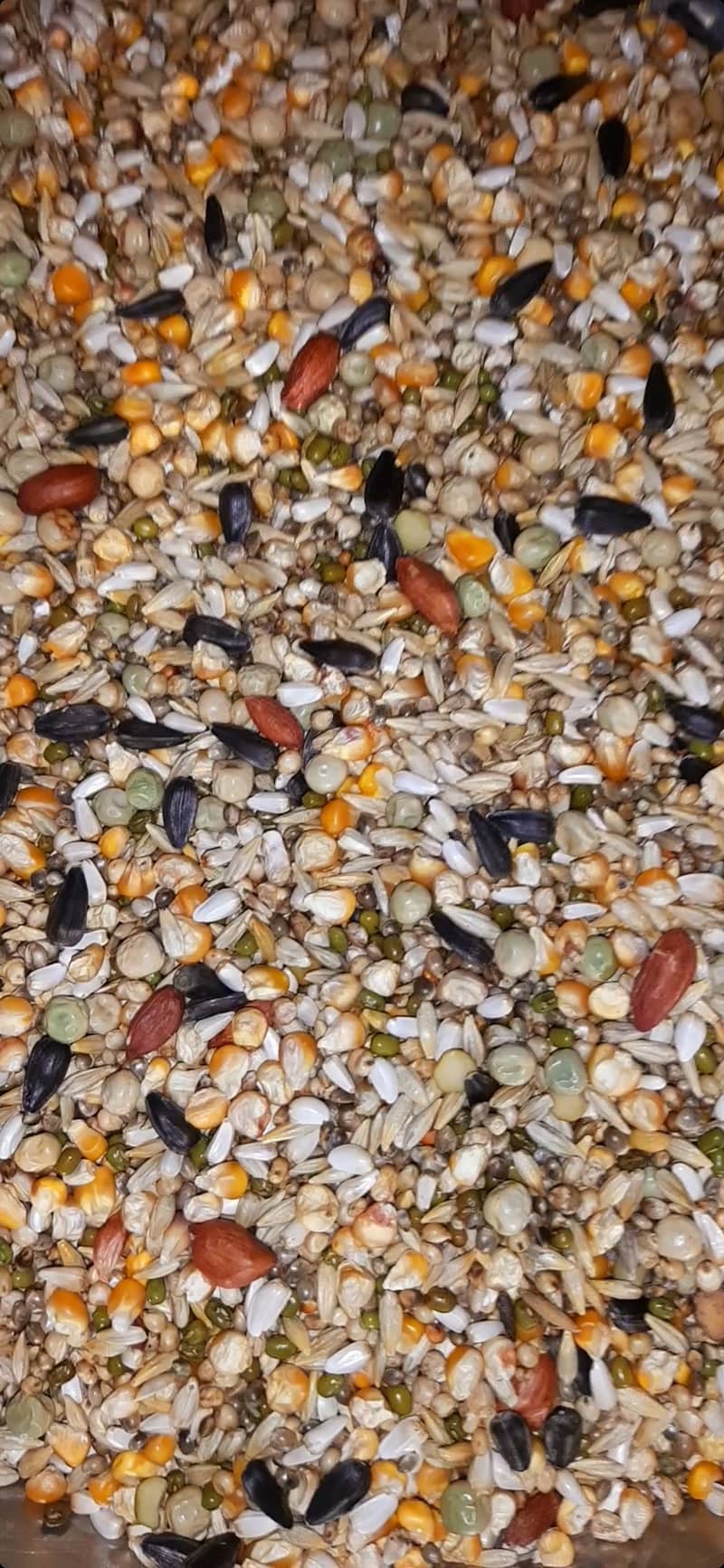 Birds Seed mix 12