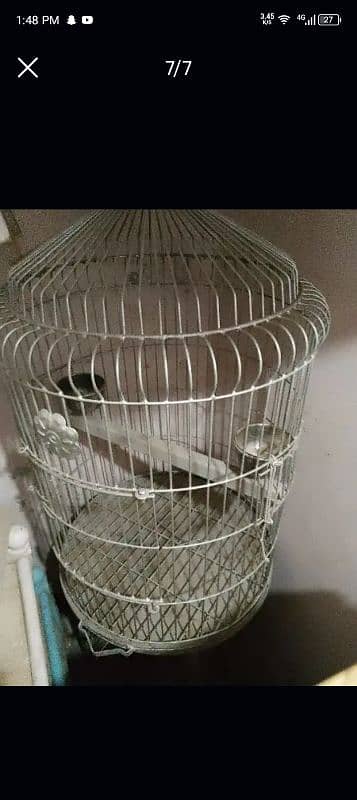 grey cage 1