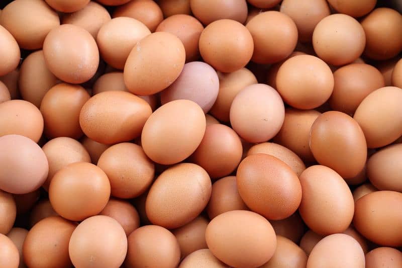 100% pure desi eggs 4