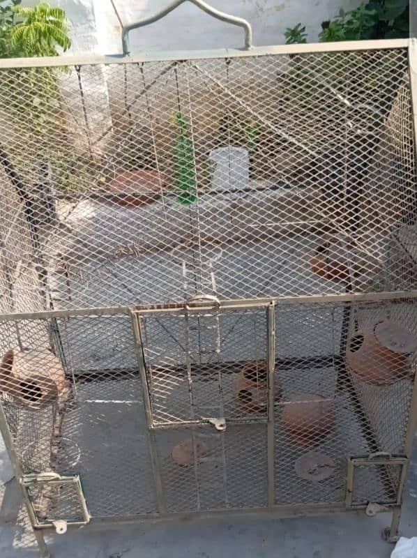 pinjra (cage) for birds 2