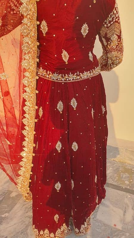 bridal velvet lehenga mehroon color 2