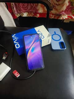 vivo