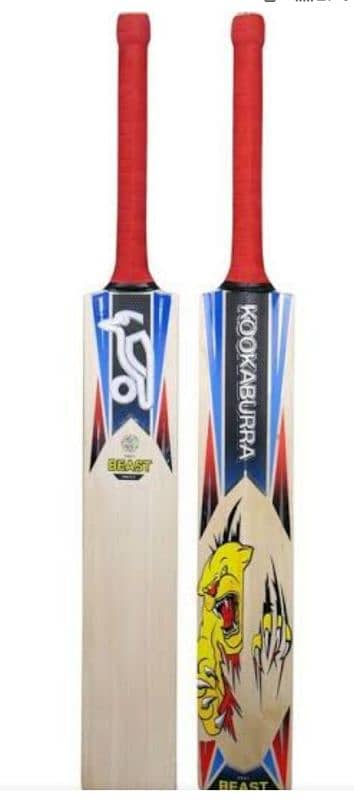 KOOKABURRA Beast Edition hard ball bat Orignal Grade A English Willow 1