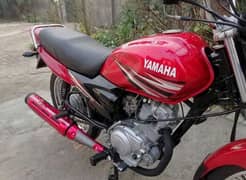 YAMAHA yb125z