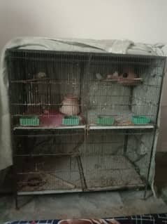 wire cage for sale