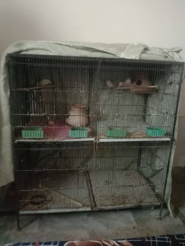 wire cage . finches pair for sale 3