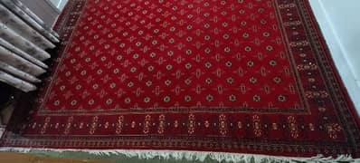 Irani kaleen for sale