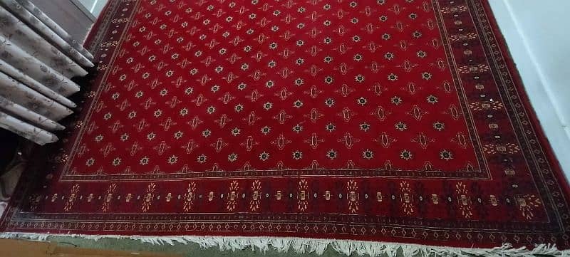 Irani kaleen for sale 0