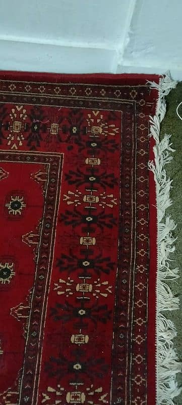 Irani kaleen for sale 4