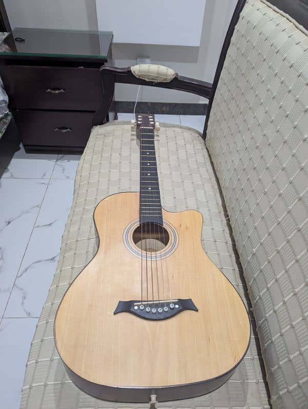 XueBao Guitar 1