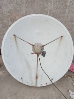 dish