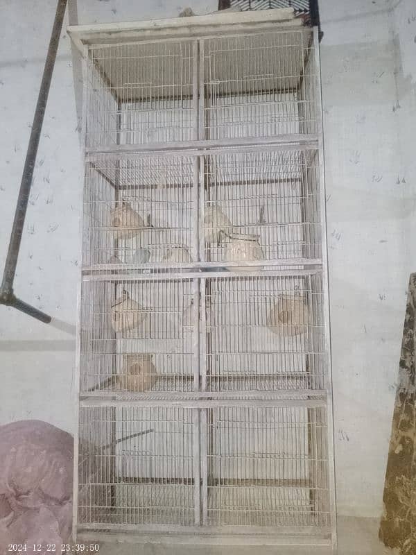 Parrots Cage 0