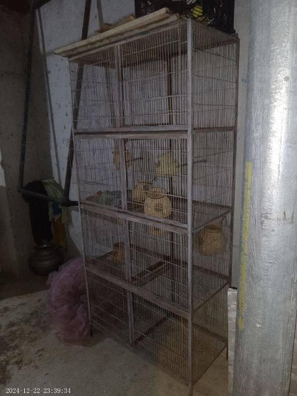 Parrots Cage 1