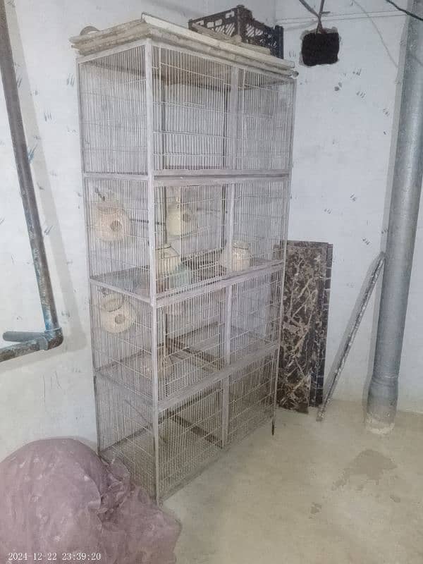 Parrots Cage 2