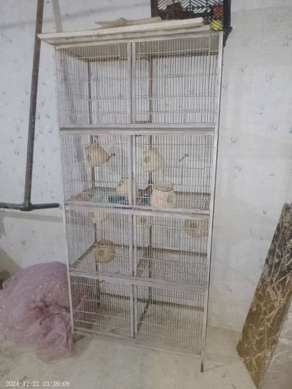 Parrots Cage 3